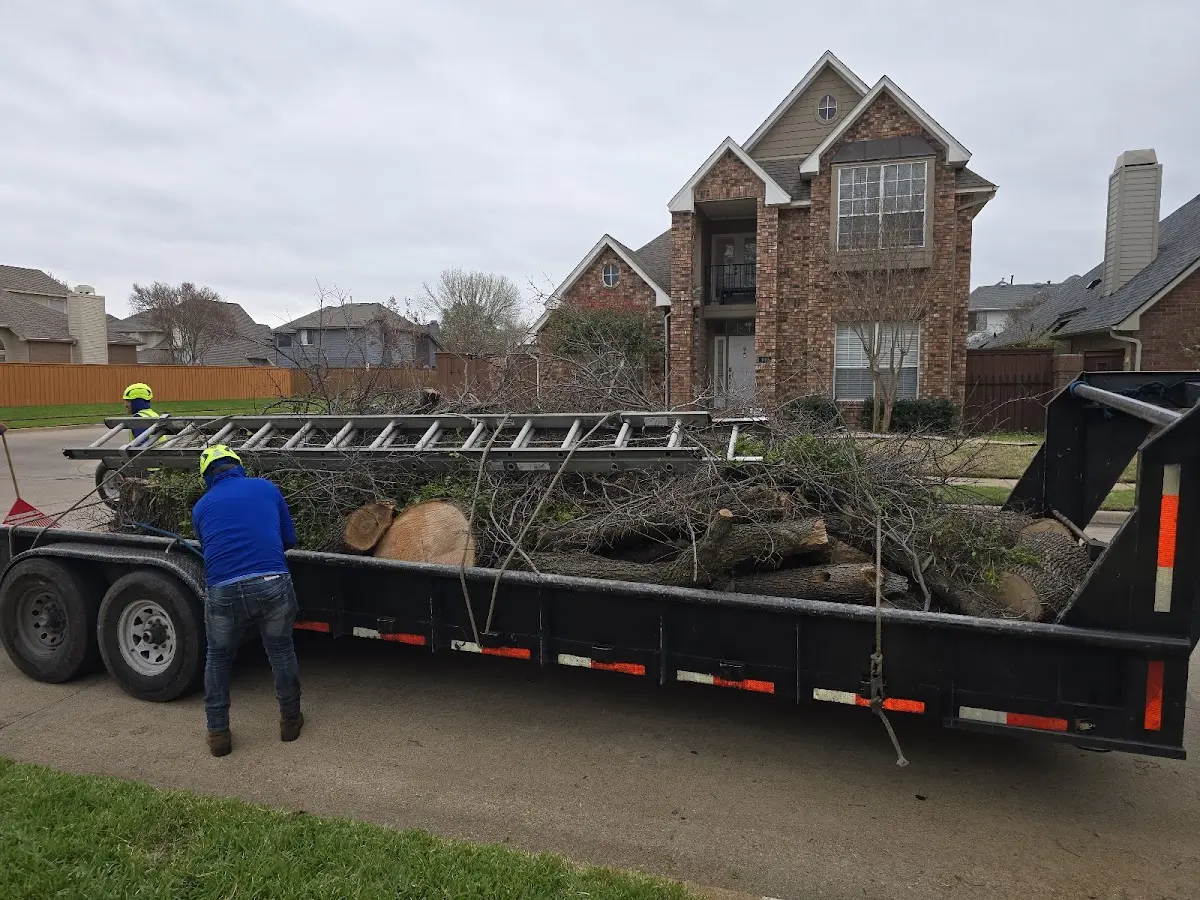 Expert Deadwooding with proper safety equipment in Vaughnsville